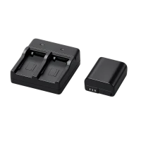 Baterijas kamerām (134)