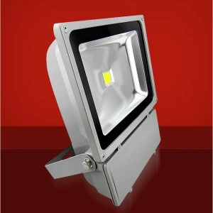 LED prožektors 100W 3000K silti baltai āra apgaismošanai