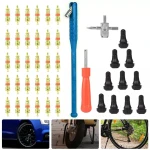 TSX TOOL riepu remonta un ventiļu izņemšanas komplekts, 43 gab.